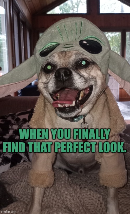 Fun | WHEN YOU FINALLY FIND THAT PERFECT LOOK. | made w/ Imgflip meme maker