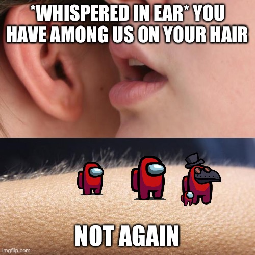 Whisper and Goosebumps | *WHISPERED IN EAR* YOU HAVE AMONG US ON YOUR HAIR; NOT AGAIN | image tagged in whisper and goosebumps | made w/ Imgflip meme maker