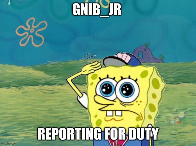 Reporting for duty sir! | GNIB_JR; REPORTING FOR DUTY | image tagged in spongebob salute | made w/ Imgflip meme maker