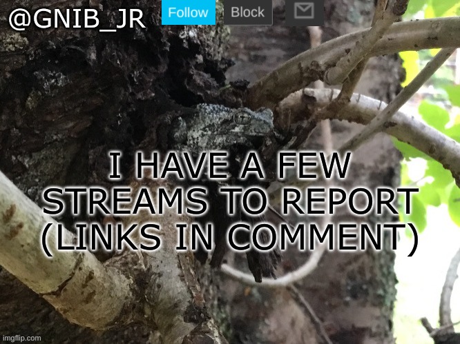Links in comments. | I HAVE A FEW STREAMS TO REPORT (LINKS IN COMMENT) | image tagged in gnib_jr's main template | made w/ Imgflip meme maker