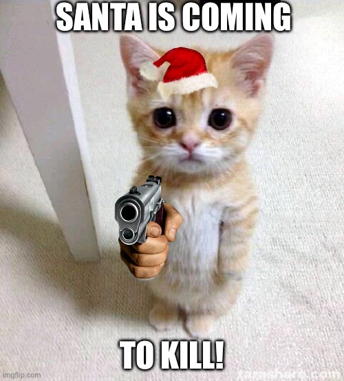 Santa cat | SANTA IS COMING; TO KILL! | image tagged in memes,cute cat | made w/ Imgflip meme maker