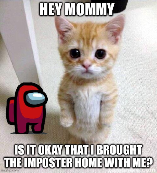 Imposter and cat | HEY MOMMY; IS IT OKAY THAT I BROUGHT THE IMPOSTER HOME WITH ME? | image tagged in memes,cute cat | made w/ Imgflip meme maker