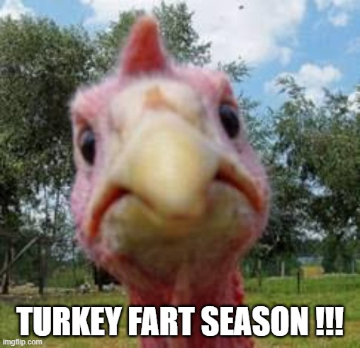 turkey | TURKEY FART SEASON !!! | image tagged in turkey | made w/ Imgflip meme maker