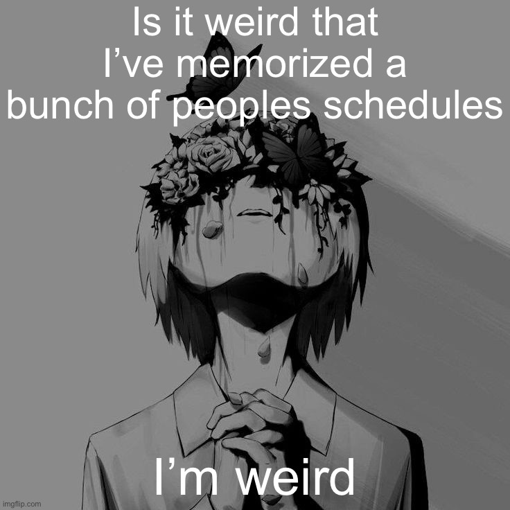 Avogado6 depression | Is it weird that I’ve memorized a bunch of peoples schedules; I’m weird | image tagged in avogado6 depression | made w/ Imgflip meme maker