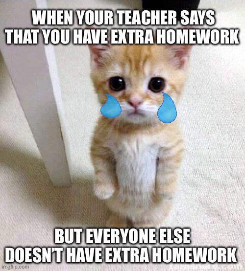 Crying cat with extra homework | WHEN YOUR TEACHER SAYS THAT YOU HAVE EXTRA HOMEWORK; BUT EVERYONE ELSE DOESN’T HAVE EXTRA HOMEWORK | image tagged in memes,cute cat | made w/ Imgflip meme maker