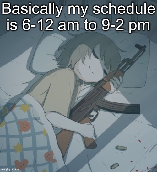 Avogado6 depression | Basically my schedule is 6-12 am to 9-2 pm | image tagged in avogado6 depression | made w/ Imgflip meme maker