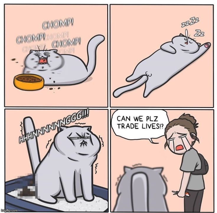 image tagged in comics/cartoons | made w/ Imgflip meme maker