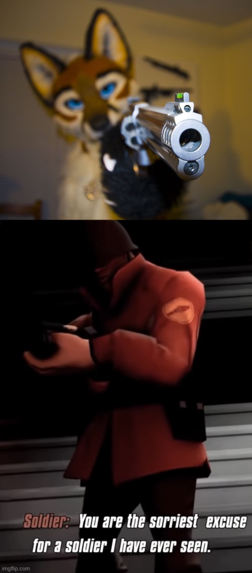 Pathetic my template surpasses that of yours | image tagged in furry with gun,you are the sorriest excuse for a soldier i have ever seen | made w/ Imgflip meme maker