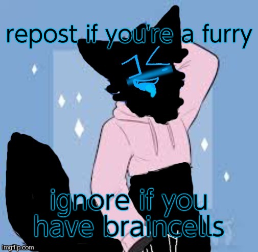 Femboy Error | repost if you're a furry; ignore if you have braincells | image tagged in femboy error | made w/ Imgflip meme maker