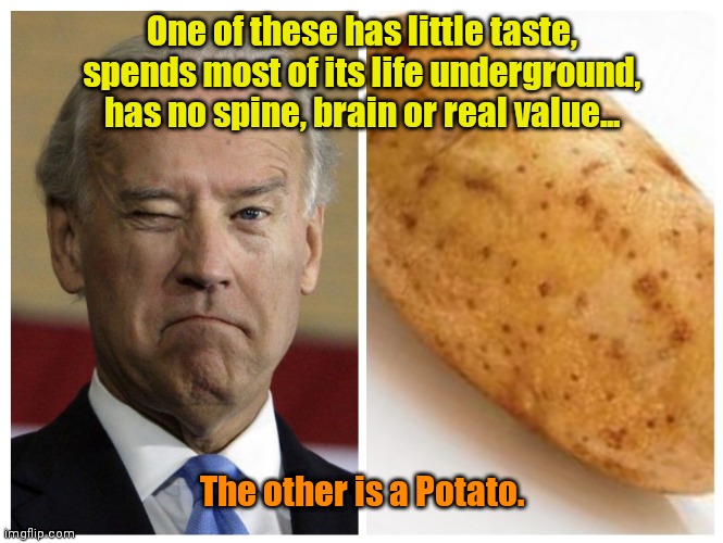 #Hashbrowns | One of these has little taste, spends most of its life underground, has no spine, brain or real value... The other is a Potato. | made w/ Imgflip meme maker