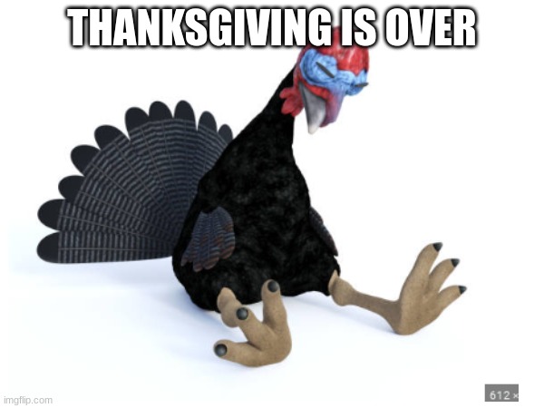 NO | THANKSGIVING IS OVER | image tagged in thanksgiving | made w/ Imgflip meme maker