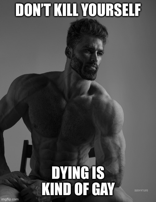 Image title | DON’T KILL YOURSELF; DYING IS KIND OF GAY | image tagged in image tag | made w/ Imgflip meme maker