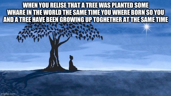 Buddha bodhi tree blue | WHEN YOU REALIZE THAT A TREE WAS PLANTED SOMEWHERE IN THE WORLD AT THE SAME TIME YOU WERE BORN SO YOU AND THE TREE HAVE BEEN GROWING UP TOGETHER AT THE SAME TIME | image tagged in buddha bodhi tree blue | made w/ Imgflip meme maker