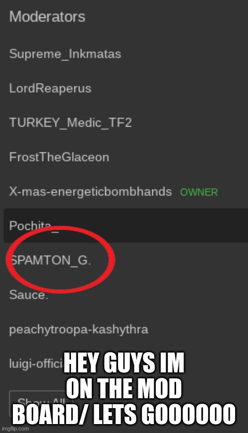 HEY GUYS IM ON THE MOD BOARD/ LETS GOOOOOO | made w/ Imgflip meme maker