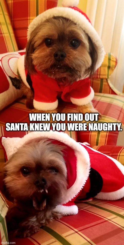 Naughty | WHEN YOU FIND OUT SANTA KNEW YOU WERE NAUGHTY. | image tagged in santa naughty list | made w/ Imgflip meme maker
