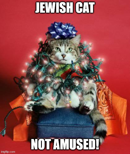Jewish Cat Not Amused! | JEWISH CAT; NOT AMUSED! | image tagged in christmas,jewish,cat,funny cats | made w/ Imgflip meme maker