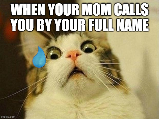 Scared Cat Meme | WHEN YOUR MOM CALLS YOU BY YOUR FULL NAME | image tagged in memes,scared cat | made w/ Imgflip meme maker