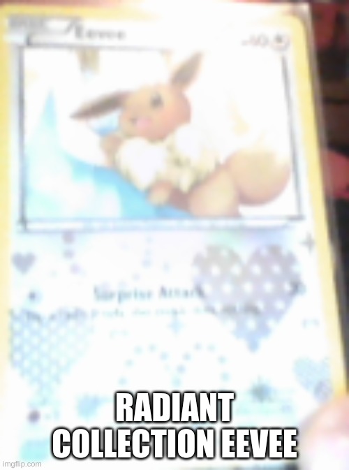 owned by me | RADIANT COLLECTION EEVEE | image tagged in me | made w/ Imgflip meme maker