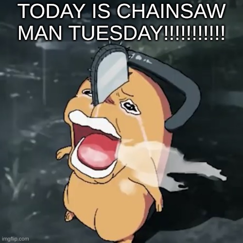 CHAINSAW TUESDAY | TODAY IS CHAINSAW MAN TUESDAY!!!!!!!!!!! | image tagged in pochita copper cry | made w/ Imgflip meme maker