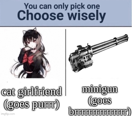 which do you choose? | minigun
(goes brrrrrrrrrrrrrrr); cat girlfriend
(goes purrr) | image tagged in you can only pick one choose wisely | made w/ Imgflip meme maker