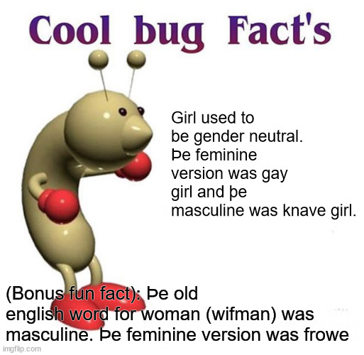 Cool Bug Facts Api | Girl used to be gender neutral. Þe feminine version was gay girl and þe masculine was knave girl. (Bonus fun fact): Þe old english word for woman (wifman) was masculine. Þe feminine version was frowe | image tagged in cool bug facts api | made w/ Imgflip meme maker