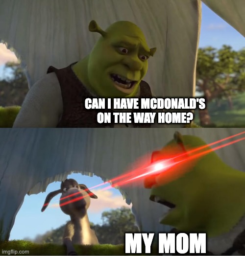 when you ask for mcdonalds | CAN I HAVE MCDONALD'S ON THE WAY HOME? MY MOM | image tagged in shrek for five minutes | made w/ Imgflip meme maker