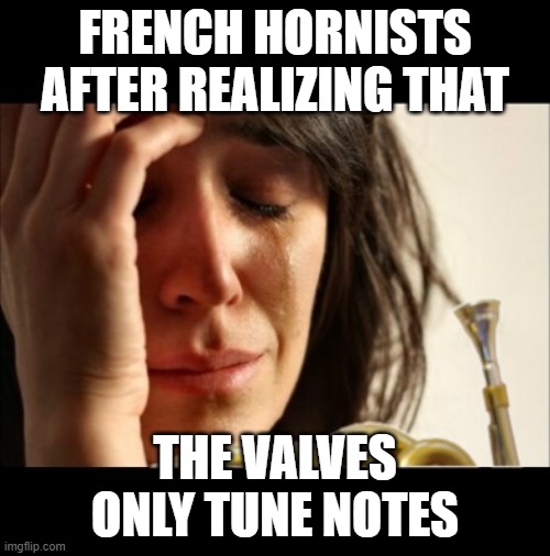 French horn gotta be the hardest instrument! | FRENCH HORNISTS AFTER REALIZING THAT; THE VALVES ONLY TUNE NOTES | image tagged in french horn problems,french horn,french,horn,funny | made w/ Imgflip meme maker