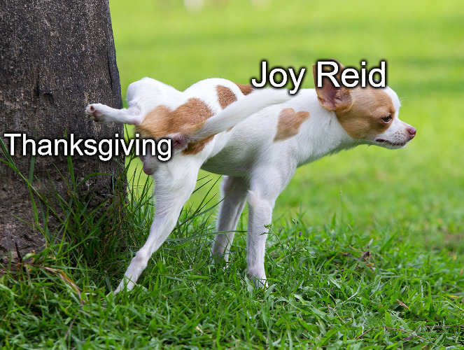 MSM Hates Everything | Joy Reid; Thanksgiving | image tagged in dog peeing on tree | made w/ Imgflip meme maker