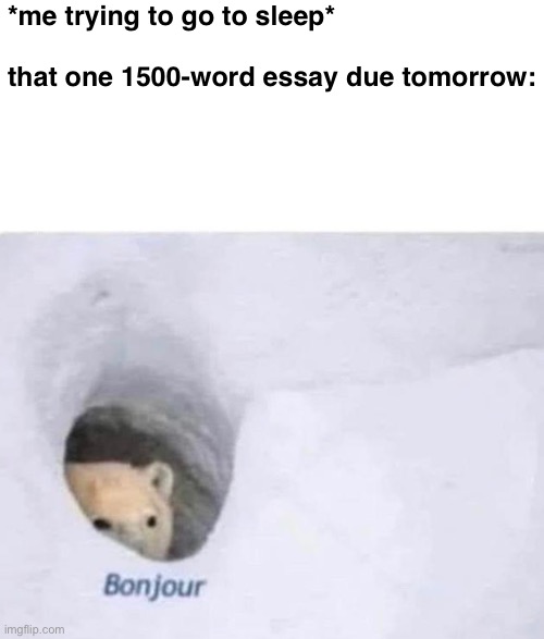 Bonjour | *me trying to go to sleep* 
 

that one 1500-word essay due tomorrow: | image tagged in bonjour,schoolwork,memes | made w/ Imgflip meme maker