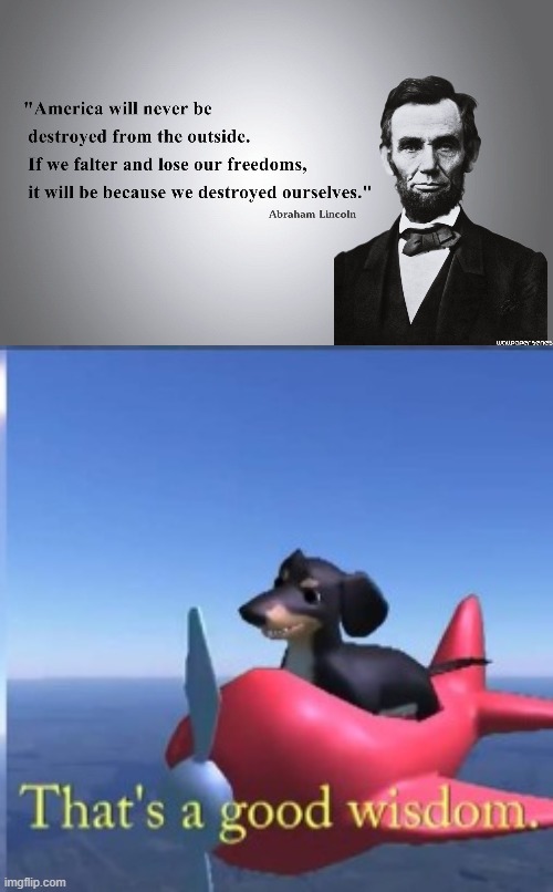 That's good wisdom from Abraham Lincoln folks! | image tagged in wisdom dog | made w/ Imgflip meme maker