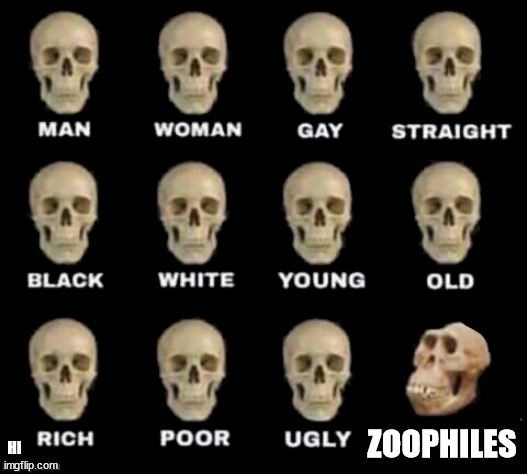 idiot skull | ZOOPHILES HI | image tagged in idiot skull | made w/ Imgflip meme maker