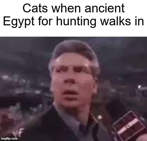 Cats in Ancient Egypt after hunting about an attack | Cats when ancient Egypt for hunting walks in | image tagged in x when x walks in,memes | made w/ Imgflip meme maker