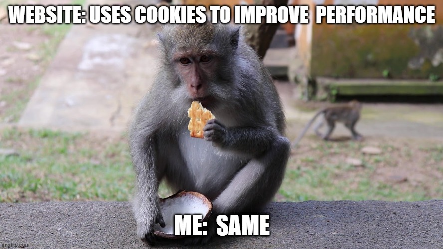 monkey cookie | WEBSITE: USES COOKIES TO IMPROVE  PERFORMANCE; ME:  SAME | image tagged in monkeys | made w/ Imgflip meme maker