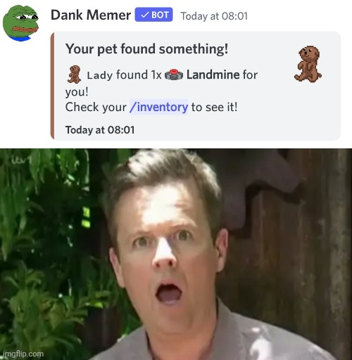 The Decland Donnelly template is new. I made it myself. | image tagged in i'm a celebrity get me out of here,i'm a celeb,dec,decland donnelly,discord,dank memer | made w/ Imgflip meme maker