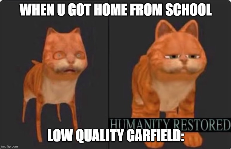 humanity restorede | WHEN U GOT HOME FROM SCHOOL; LOW QUALITY GARFIELD: | image tagged in humanity restored,aaaaand its gone | made w/ Imgflip meme maker