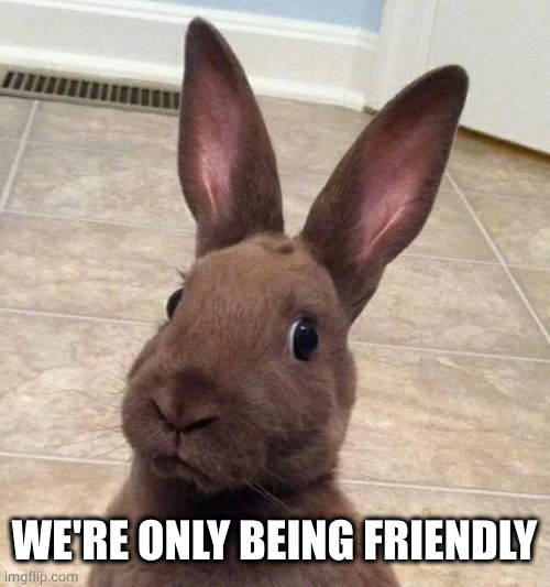 Really? Rabbit | WE'RE ONLY BEING FRIENDLY | image tagged in really rabbit | made w/ Imgflip meme maker