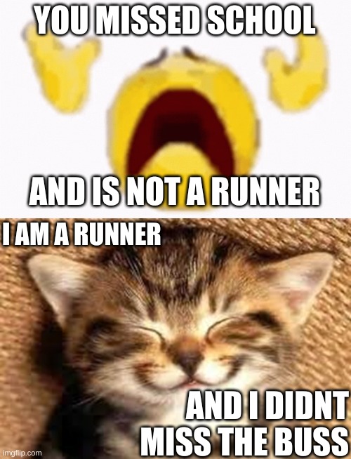 man vs cat | YOU MISSED SCHOOL; AND IS NOT A RUNNER; I AM A RUNNER; AND I DIDNT MISS THE BUSS | image tagged in nooo,happy cat | made w/ Imgflip meme maker