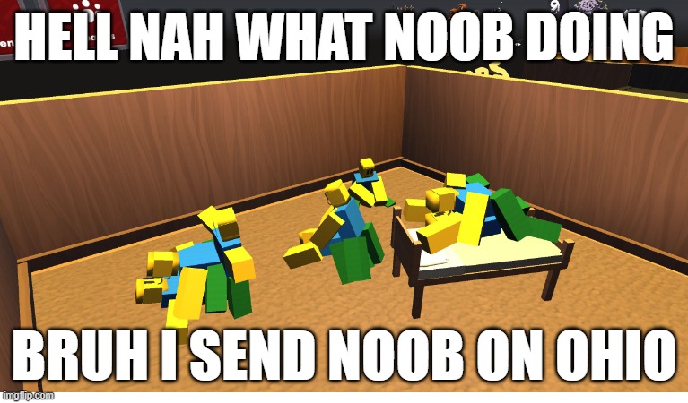 most normal day on ohio | HELL NAH WHAT NOOB DOING; BRUH I SEND NOOB ON OHIO | image tagged in memes | made w/ Imgflip meme maker