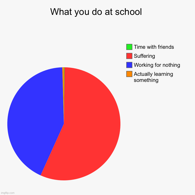 What you do at school | Actually learning something, Working for nothing, Suffering, Time with friends | image tagged in charts,pie charts | made w/ Imgflip chart maker