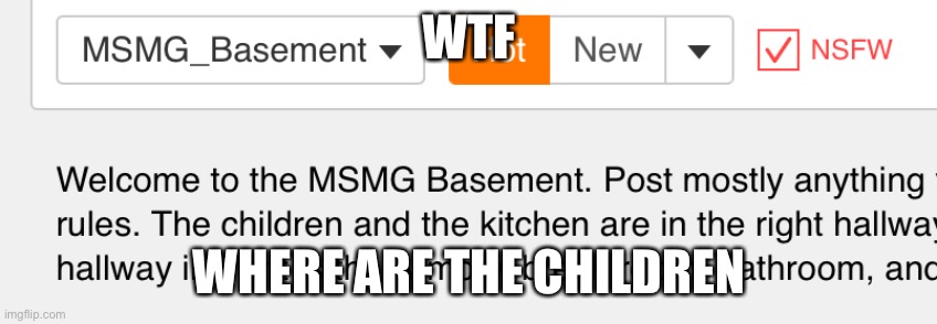 Basement have no children :(((((((((( | WTF; WHERE ARE THE CHILDREN | made w/ Imgflip meme maker