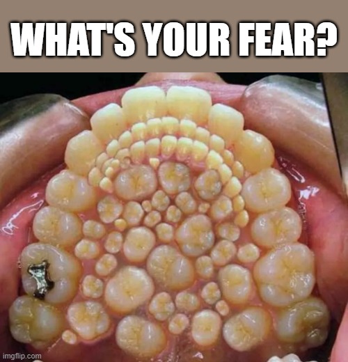 Me, I am scared of many teeth. I dont even know what name it is called | WHAT'S YOUR FEAR? | image tagged in phobe,many teeth,trypophobia | made w/ Imgflip meme maker