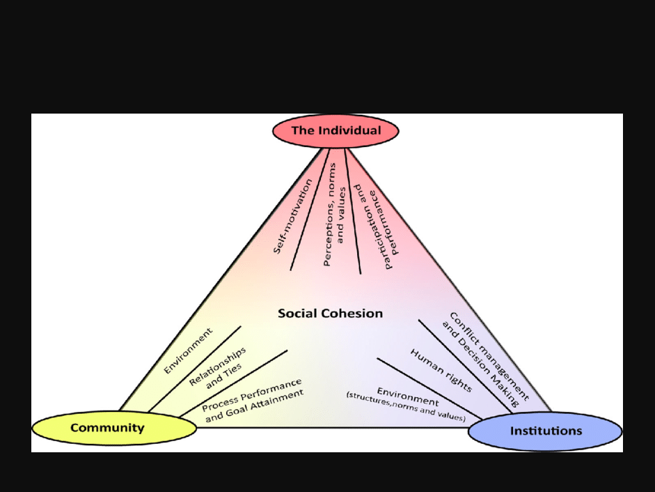 High Quality framework to characterize social cohesion Blank Meme Template