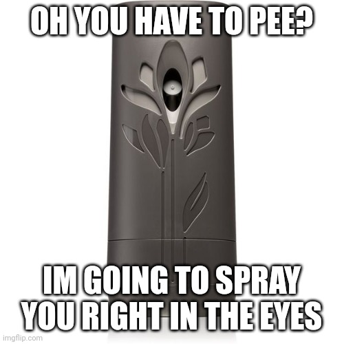 Air Wick assault |  OH YOU HAVE TO PEE? IM GOING TO SPRAY YOU RIGHT IN THE EYES | image tagged in air freshener,air wick,assault,pee,crazy girlfriend,my eyes | made w/ Imgflip meme maker
