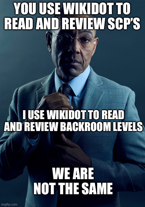 Backrooms wiki surpremacy | YOU USE WIKIDOT TO READ AND REVIEW SCP’S; I USE WIKIDOT TO READ AND REVIEW BACKROOM LEVELS; WE ARE NOT THE SAME | image tagged in gus fring we are not the same,the backrooms,scp,wikidot | made w/ Imgflip meme maker