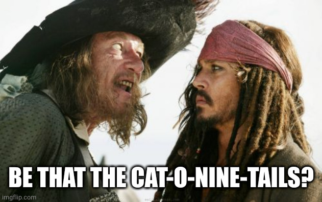 Barbosa And Sparrow Meme | BE THAT THE CAT-O-NINE-TAILS? | image tagged in memes,barbosa and sparrow | made w/ Imgflip meme maker