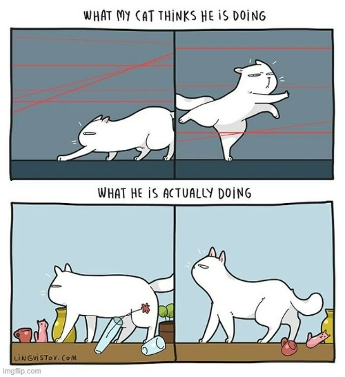 A Cat's Way Of Thinking | image tagged in memes,comics,cats,thinking,reality,difference | made w/ Imgflip meme maker