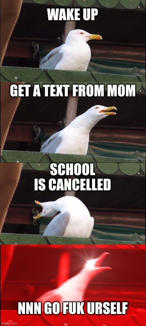 Memes day 1 | WAKE UP; GET A TEXT FROM MOM; SCHOOL IS CANCELLED; NNN GO FUK URSELF | image tagged in memes,inhaling seagull | made w/ Imgflip meme maker