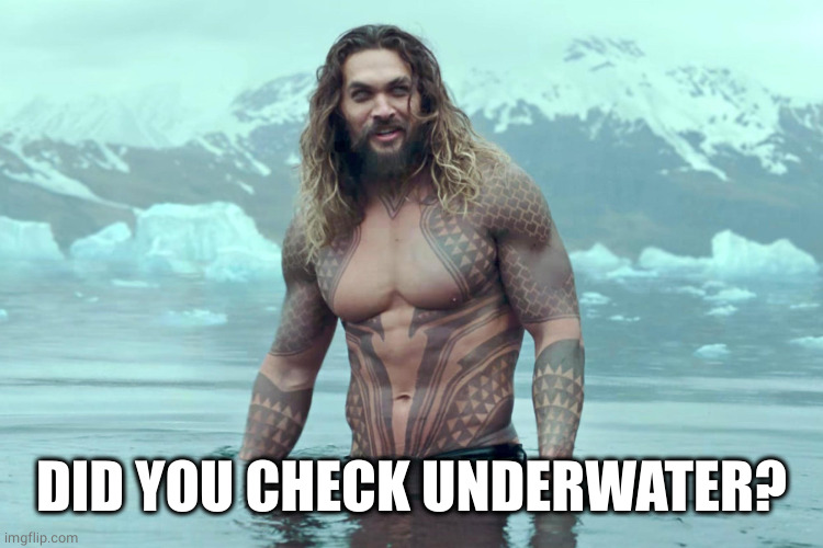 aquaman | DID YOU CHECK UNDERWATER? | image tagged in aquaman | made w/ Imgflip meme maker