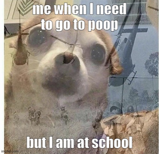 oh no | me when I need to go to poop; but I am at school | image tagged in ptsd chihuahua | made w/ Imgflip meme maker