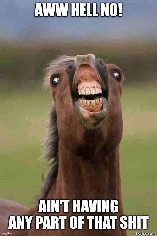 horse face | AWW HELL NO! AIN'T HAVING ANY PART OF THAT SHIT | image tagged in horse face | made w/ Imgflip meme maker